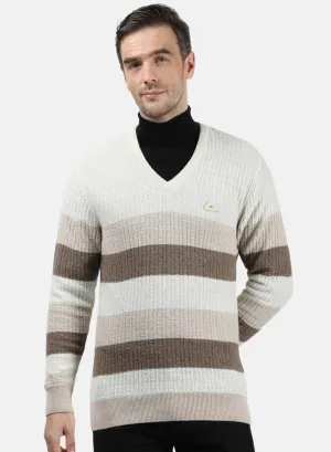 Men Beige & Brown Solid Pullover