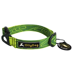 OllyDog Flagstaff Collar  Sage Bark | Buy OllyDog Flagstaff Collar  Sage Bark here | Outnorth