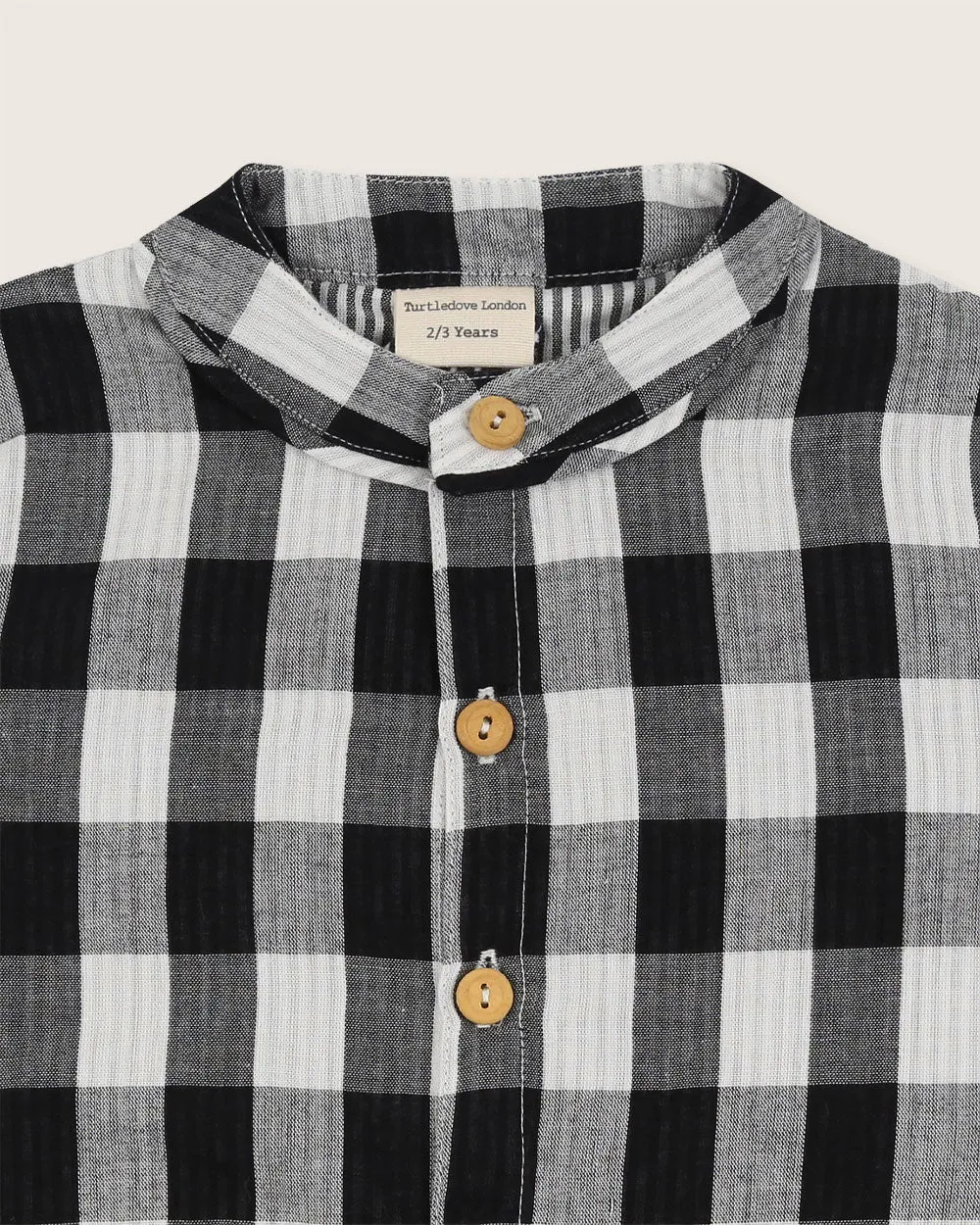 Stripe Check Shirt