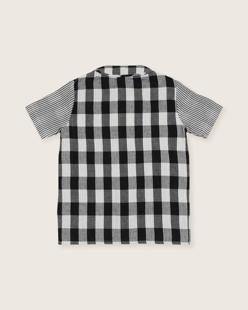 Stripe Check Shirt