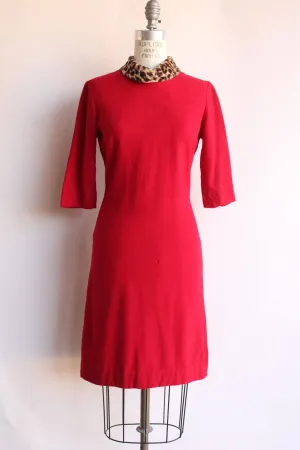 Vintage 1960s Dress in Red Wool with Leopard Print Collar