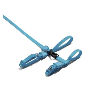 Zee.Cat Cat Harness & Leash Set (Ultimate Blue)